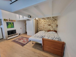 Chambre indépendante sur cours à Paris